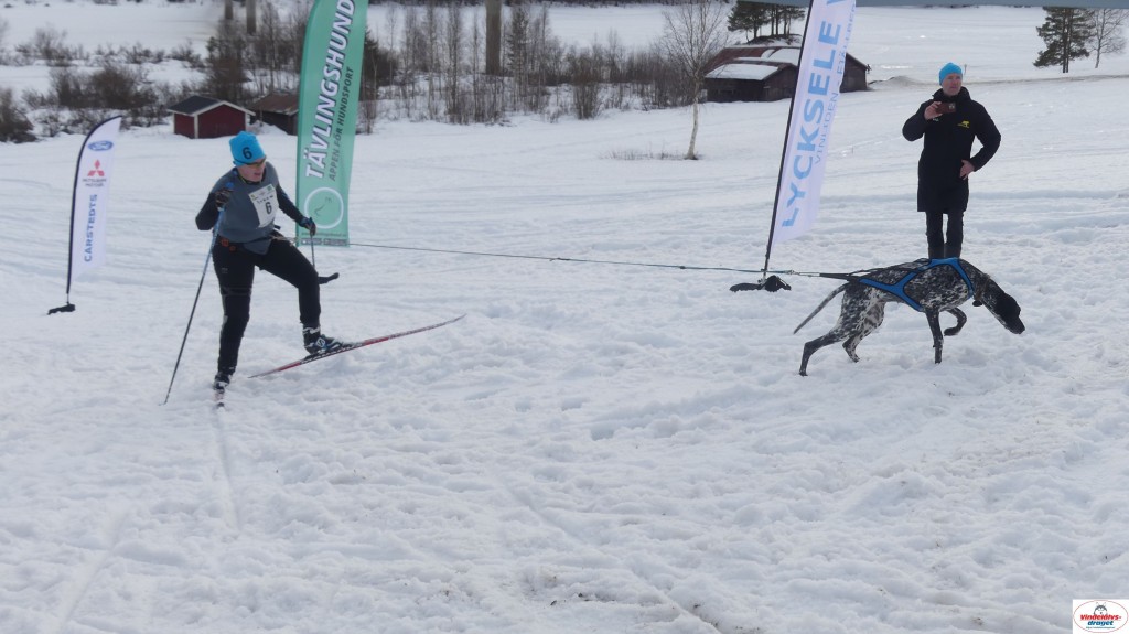 P1100588_resultat.jpg