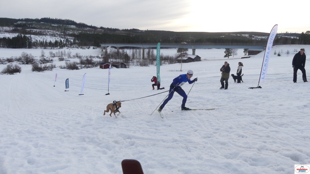 P1100591_resultat.jpg