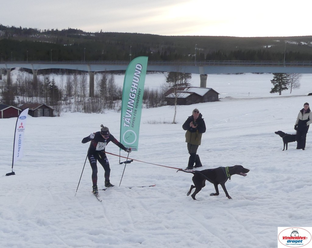 P1100592_resultat.jpg