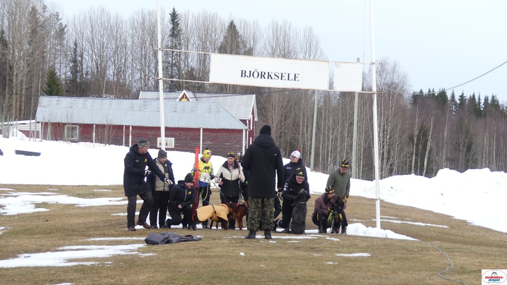 P1100598_resultat.jpg