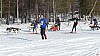 P1100480_resultat.jpg