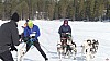 P1100512_resultat.jpg