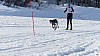 P1100533_resultat.jpg