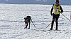P1100541_resultat.jpg
