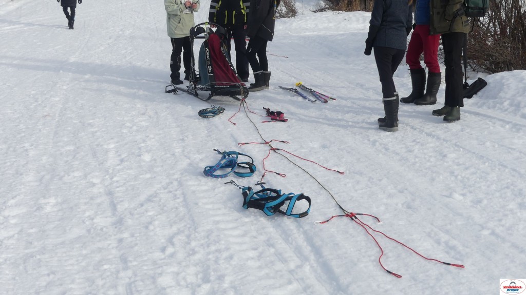 P1100612_resultat.jpg