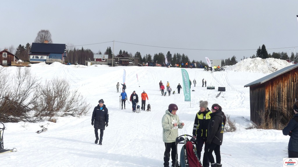 P1100613_resultat.jpg