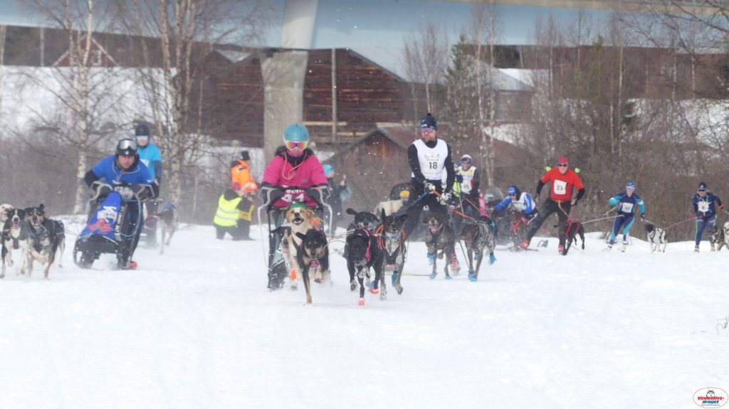 P1100618_resultat.jpg