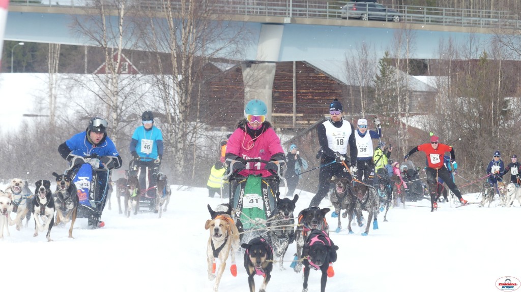 P1100619_resultat.jpg