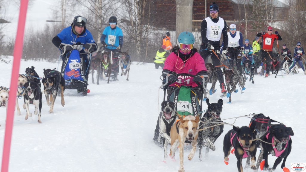 P1100620_resultat.jpg