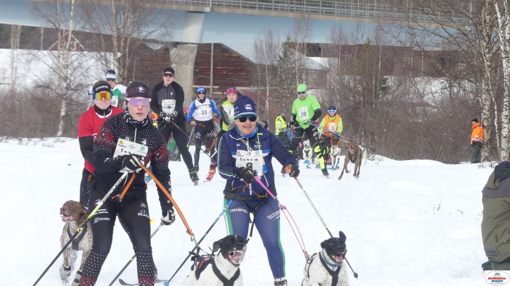 P1100633_resultat.jpg