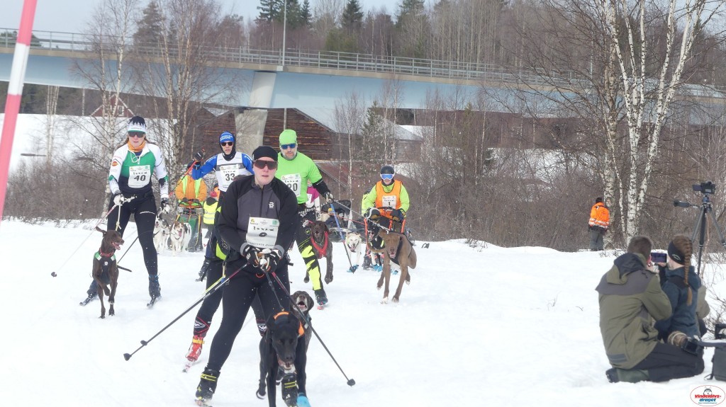 P1100636_resultat.jpg