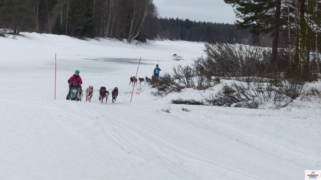 P1100652_resultat.jpg