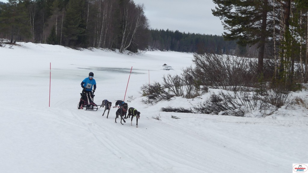 P1100653_resultat.jpg