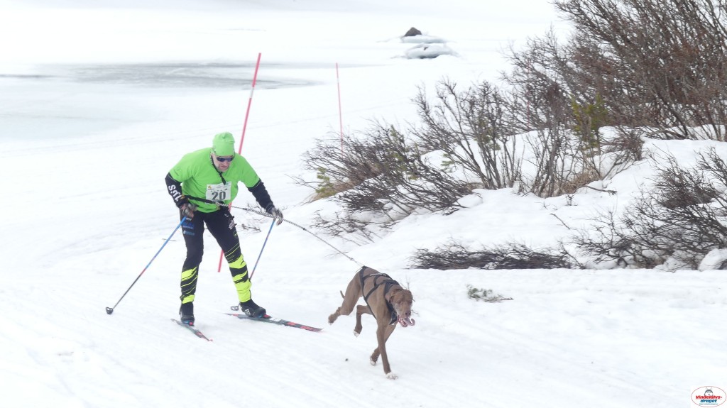 P1100656_resultat.jpg