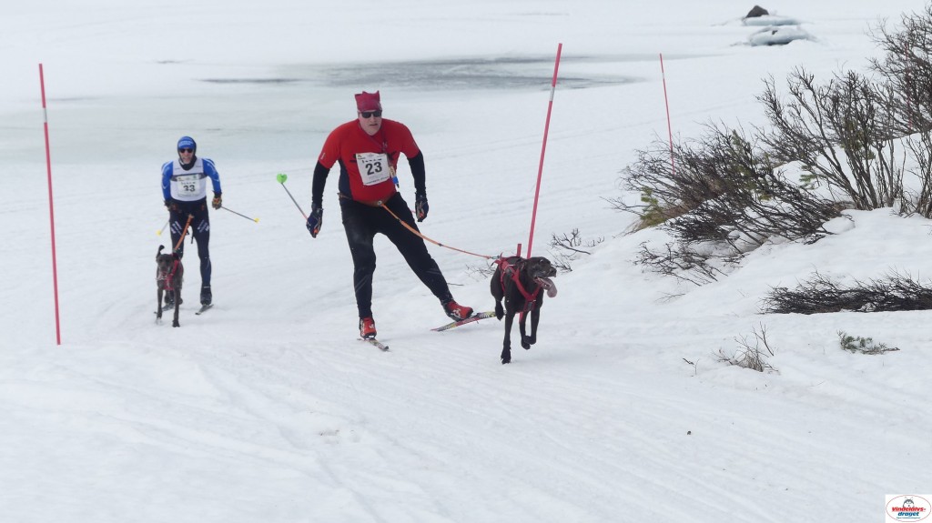 P1100657_resultat.jpg