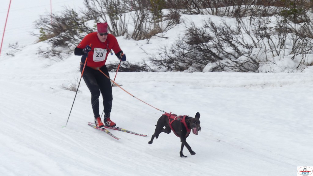 P1100658_resultat.jpg