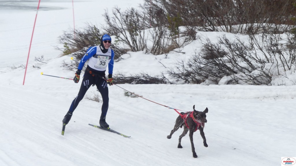 P1100659_resultat.jpg
