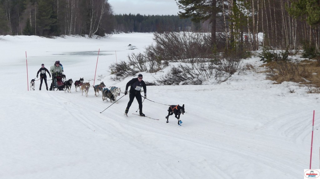 P1100663_resultat.jpg
