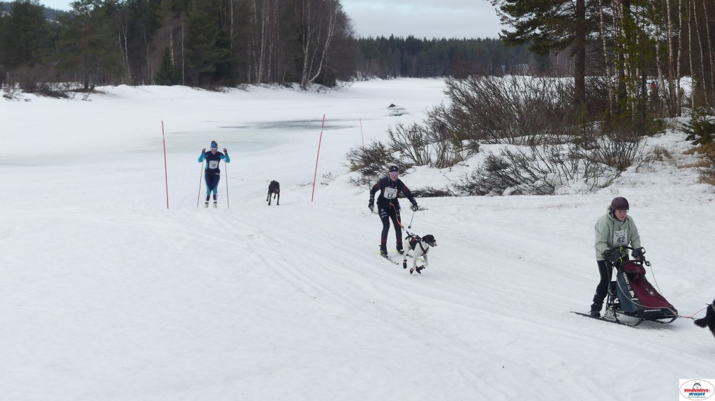 P1100665_resultat.jpg