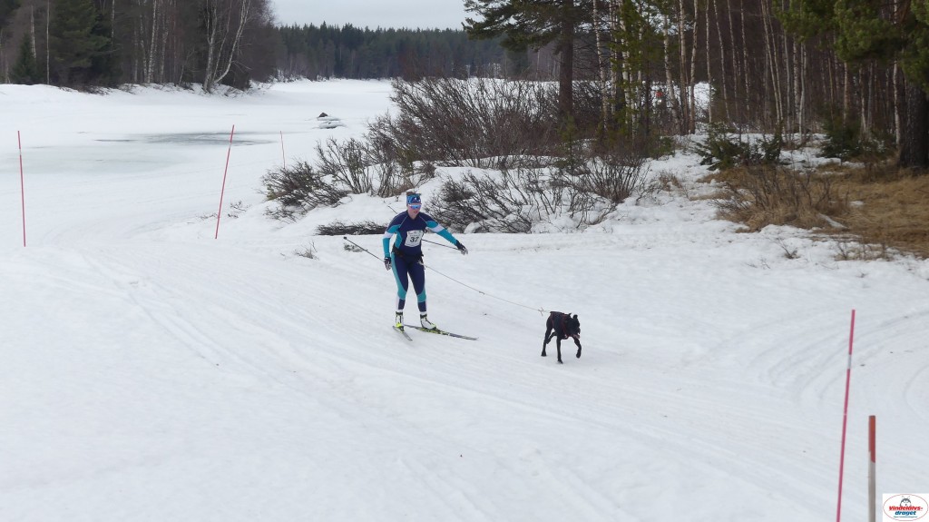 P1100666_resultat.jpg