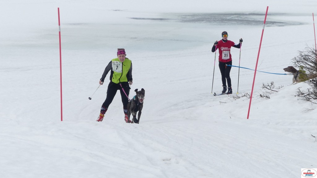 P1100667_resultat.jpg
