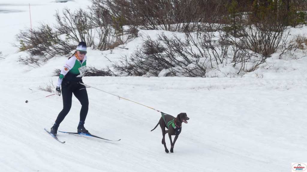 P1100670_resultat.jpg