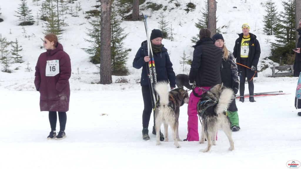 P1100675_resultat.jpg