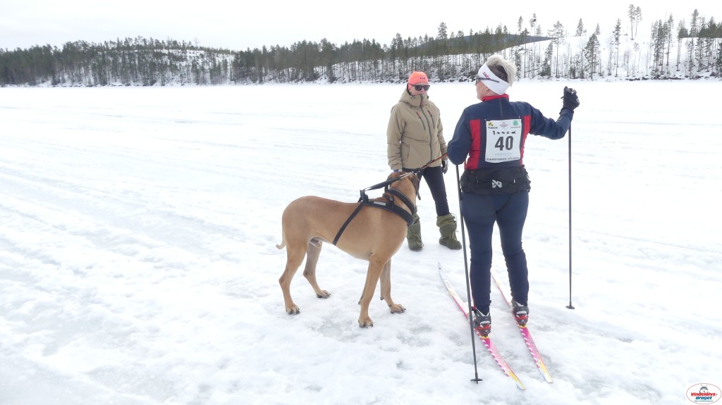 P1100678_resultat.jpg