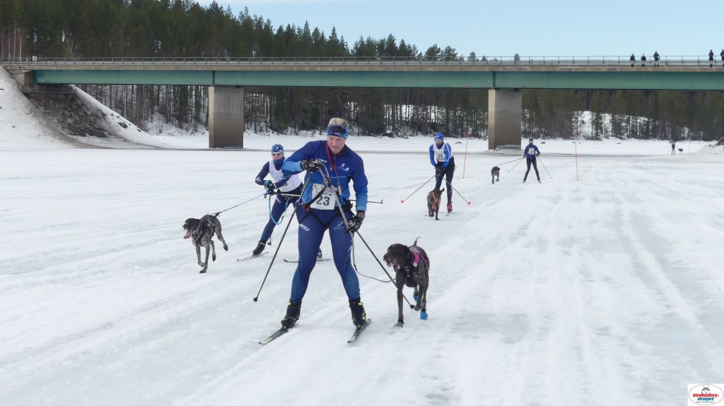 P1100683_resultat.jpg