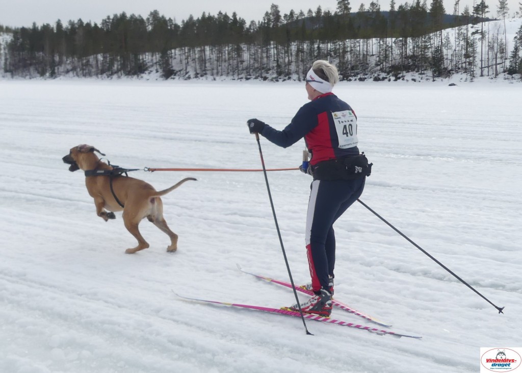 P1100699_resultat.jpg
