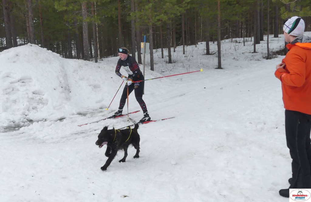 P1100721_resultat.jpg