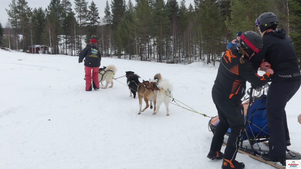 P1100725_resultat.jpg