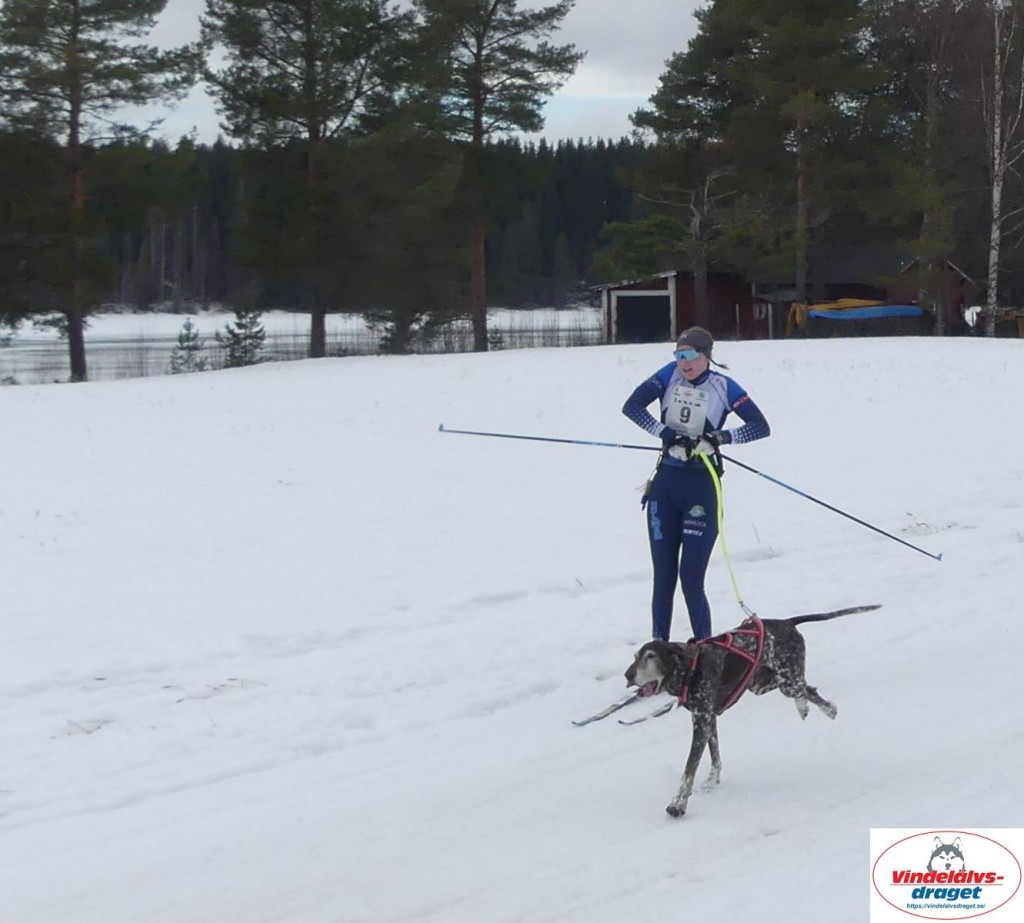 P1100756_resultat.jpg