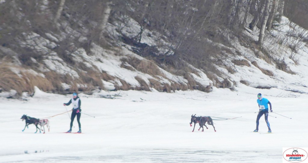 P1100769_resultat.jpg