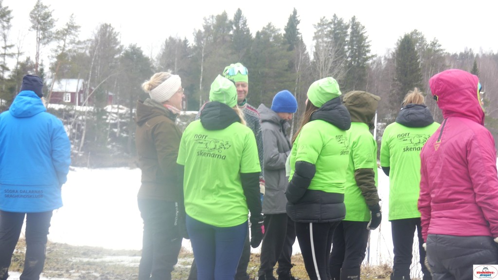 P1100779_resultat.jpg