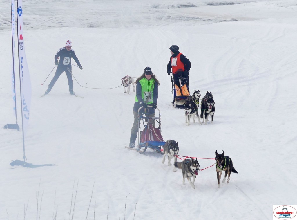 P1100809_resultat.jpg