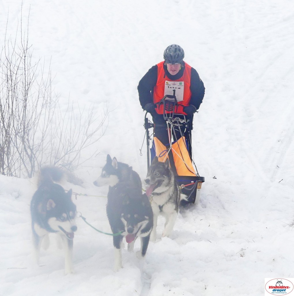 P1100813_resultat.jpg