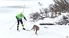 P1100656_resultat.jpg