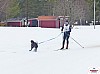 P1100753_resultat.jpg