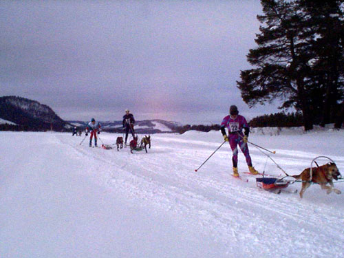 P001108.jpg