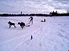 P001100.jpg