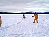 P002876.jpg