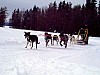 P002881.jpg