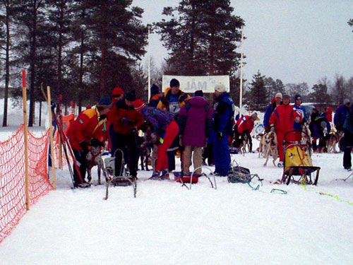 P002908.jpg