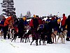 P002906.jpg