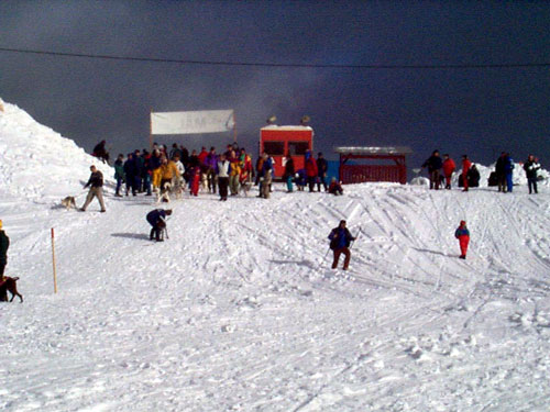P002928.jpg