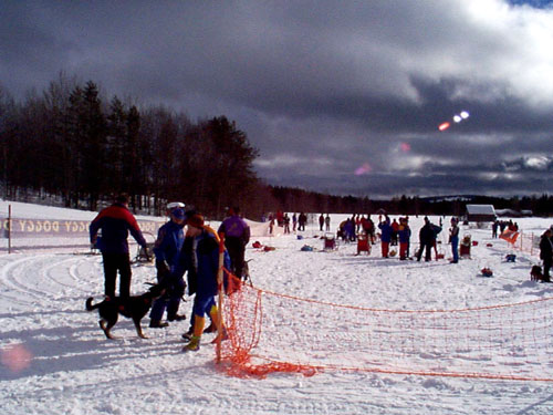 P002930.jpg