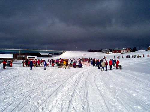 P002933.jpg