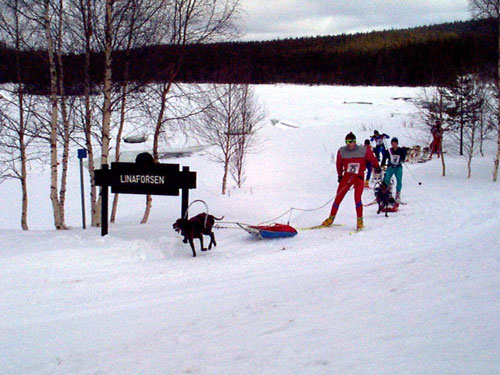 P002939.jpg