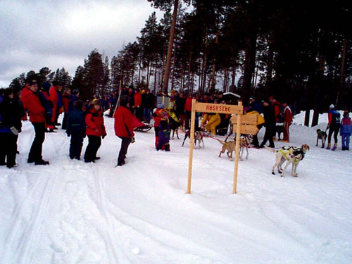 P002953.jpg